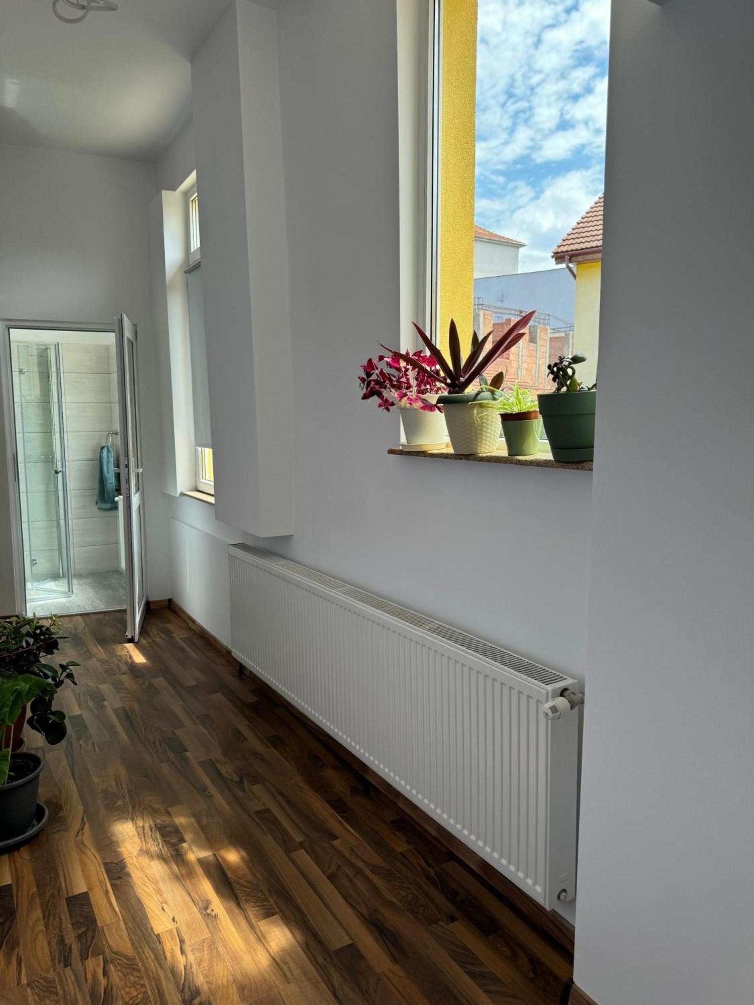 Apartament Victoria Timisoara Bagian luar foto