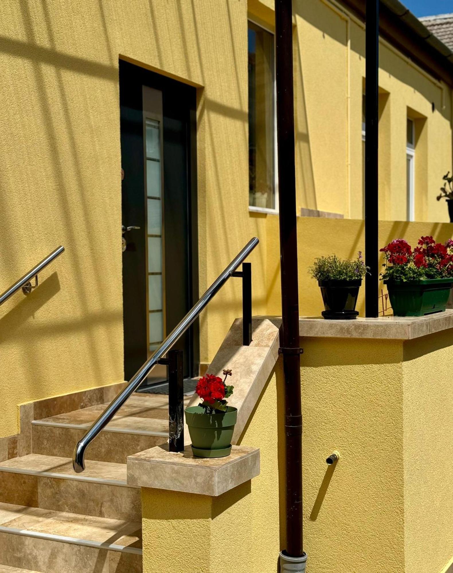 Apartament Victoria Timisoara Bagian luar foto