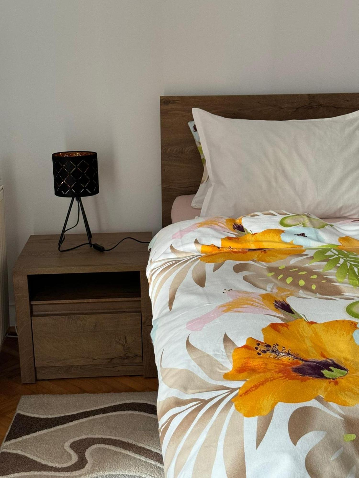 Apartament Victoria Timisoara Bagian luar foto