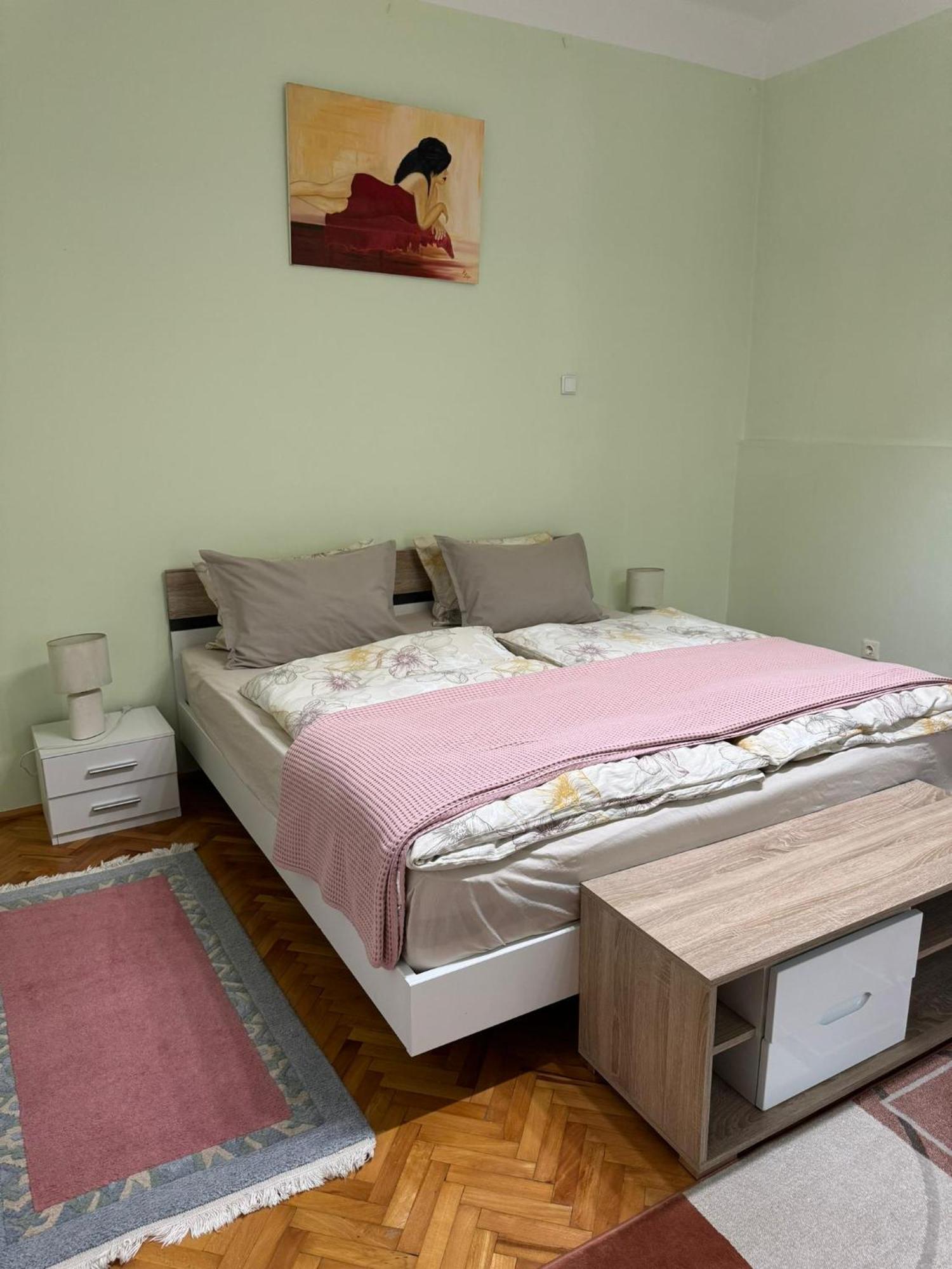 Apartament Victoria Timisoara Bagian luar foto