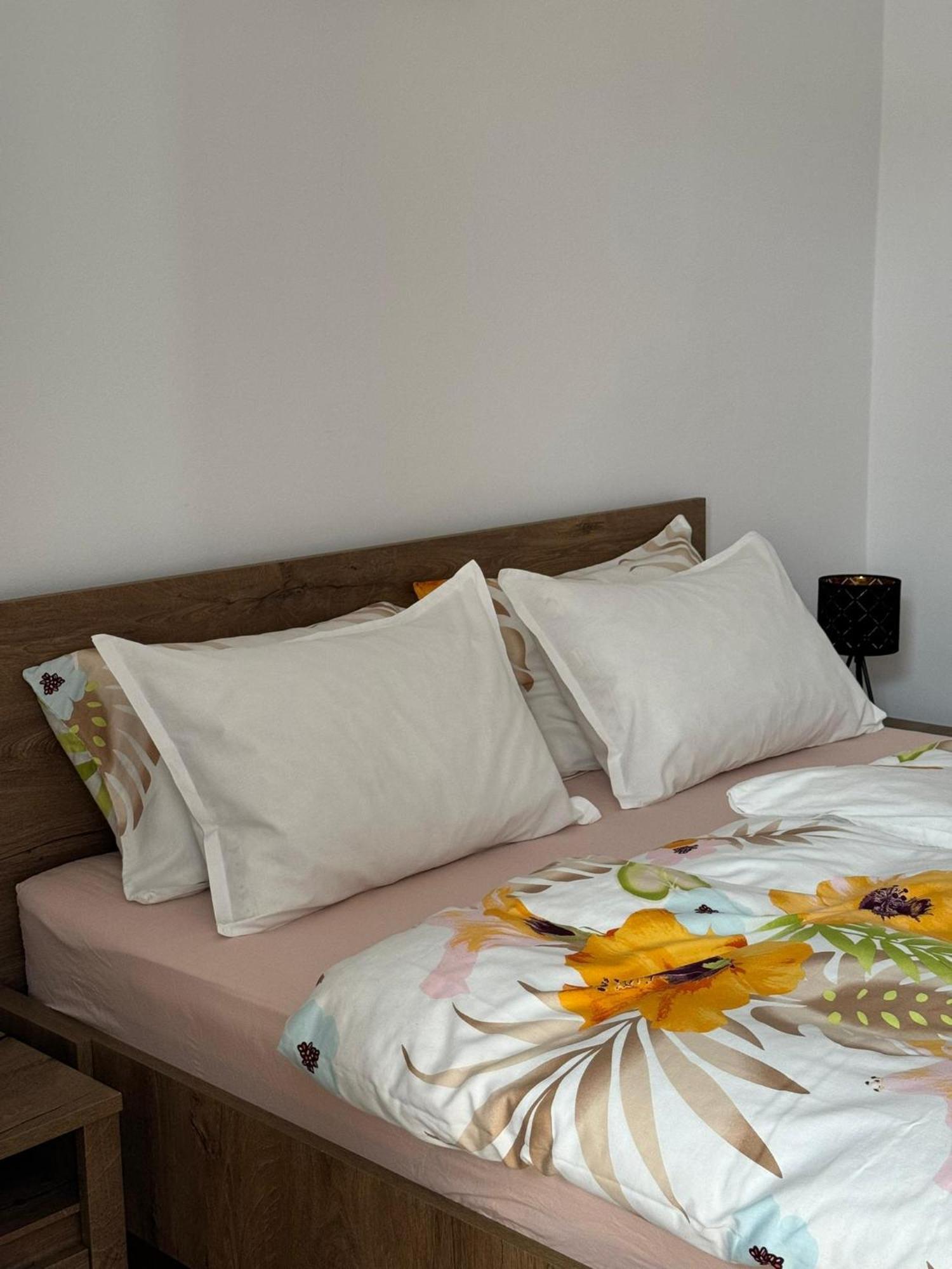 Apartament Victoria Timisoara Bagian luar foto