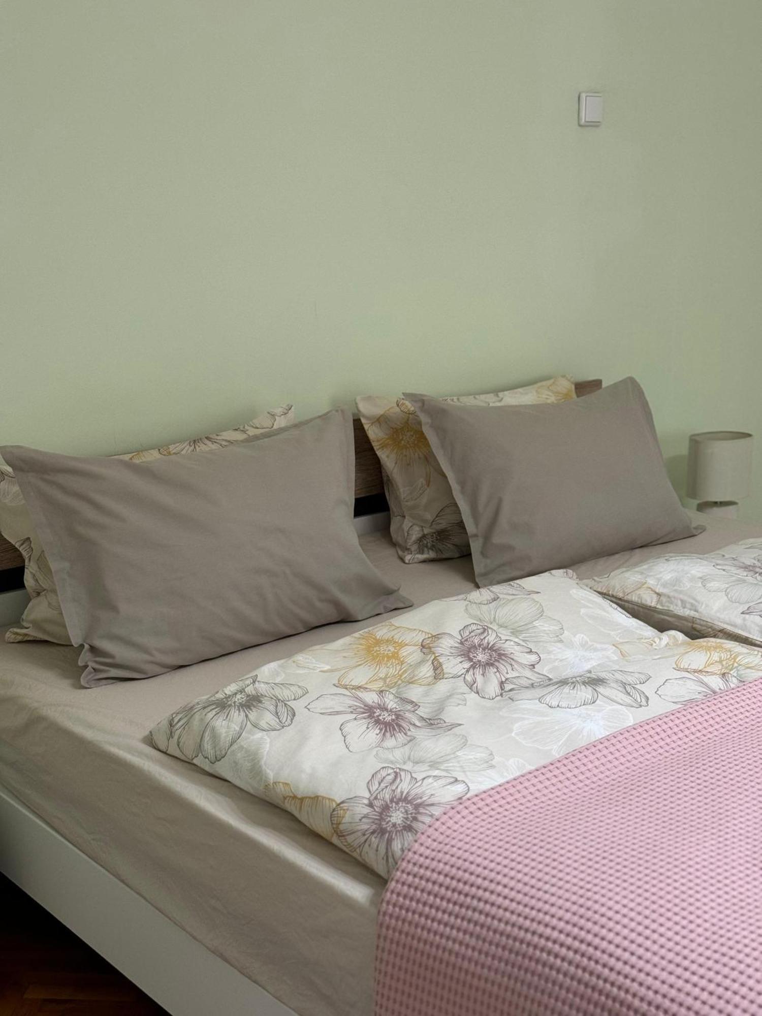Apartament Victoria Timisoara Bagian luar foto