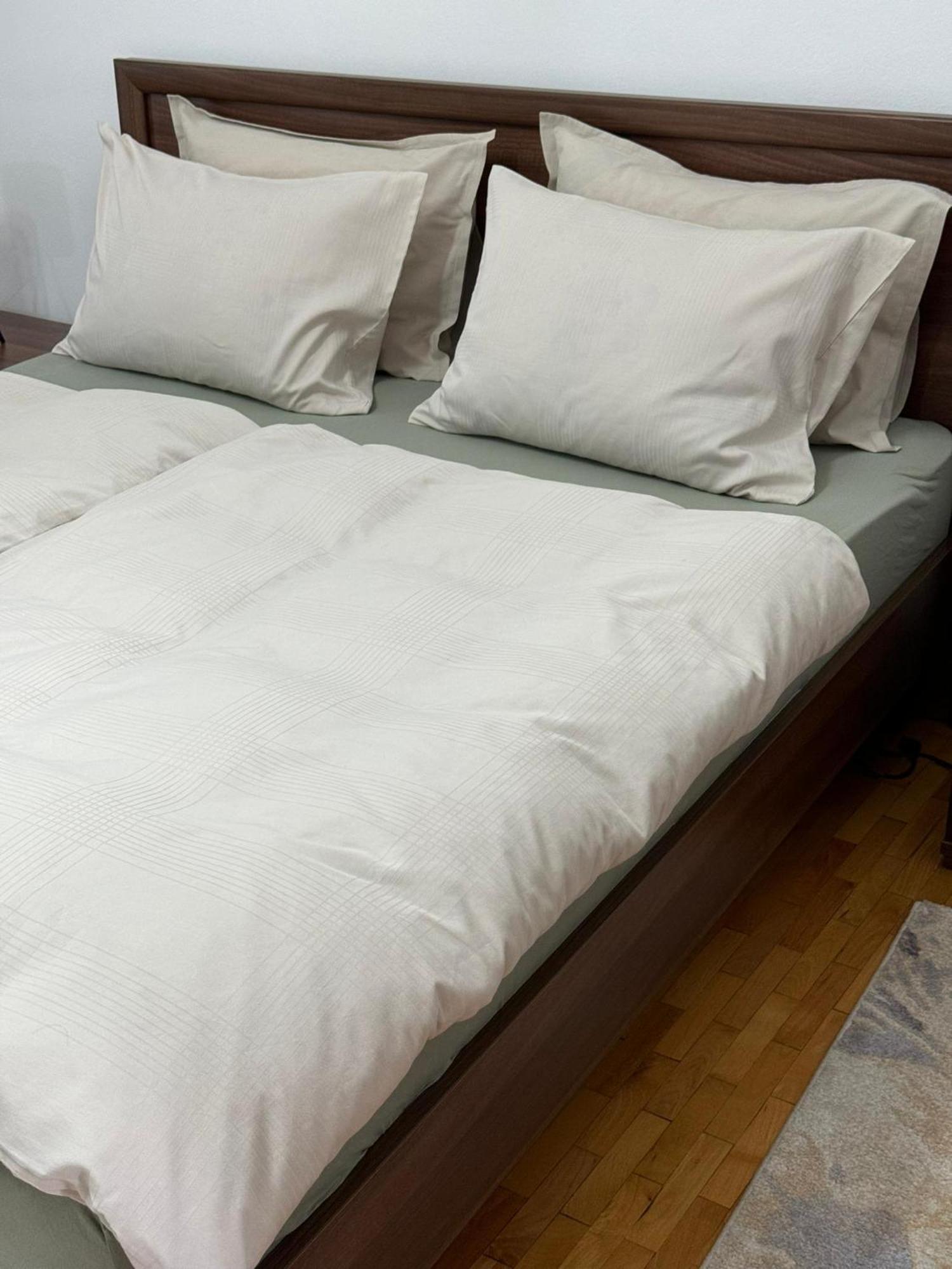 Apartament Victoria Timisoara Bagian luar foto